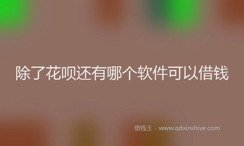 除了花呗还有哪个软件可以借钱