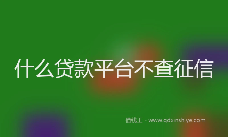 什么贷款平台不查征信