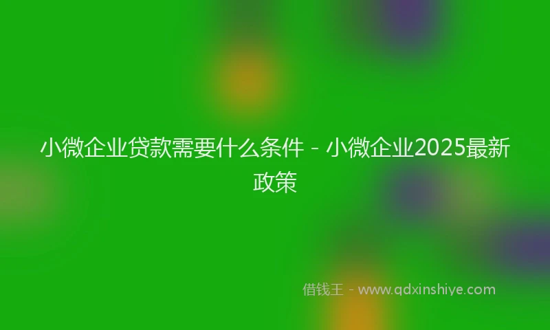 小微企业贷款需要什么条件 - 小微企业2025最新政策