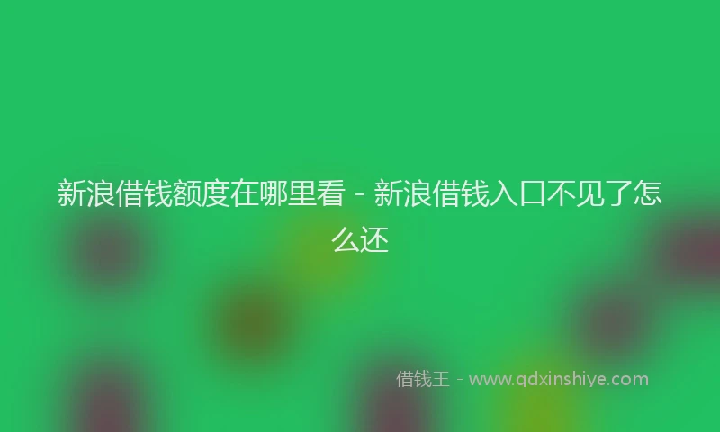 新浪借钱额度在哪里看 - 新浪借钱入口不见了怎么还