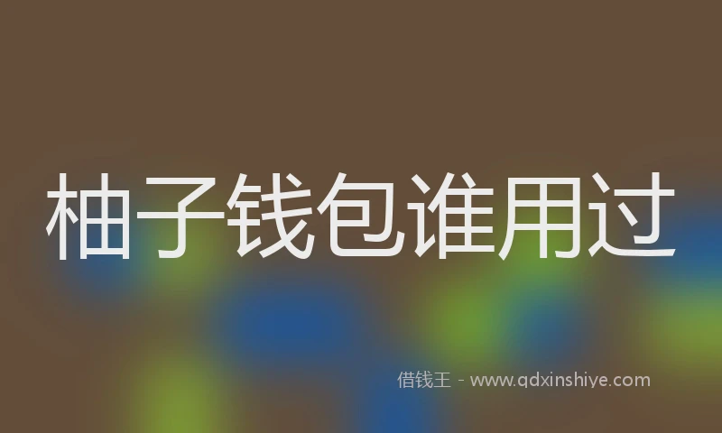 柚子钱包谁用过