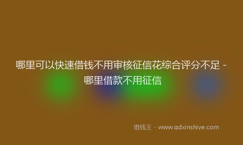 哪里可以快速借钱不用审核征信花综合评分不足 - 哪里借款不用征信