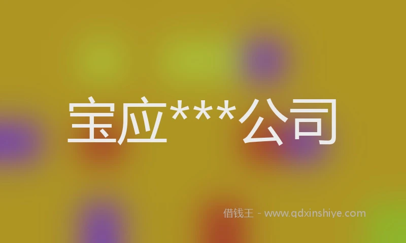 宝应***公司