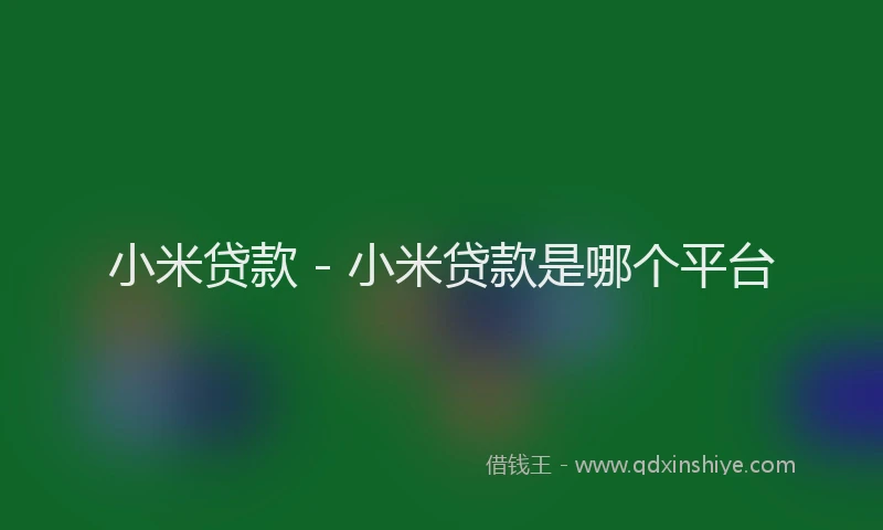 小米贷款 - 小米贷款是哪个平台