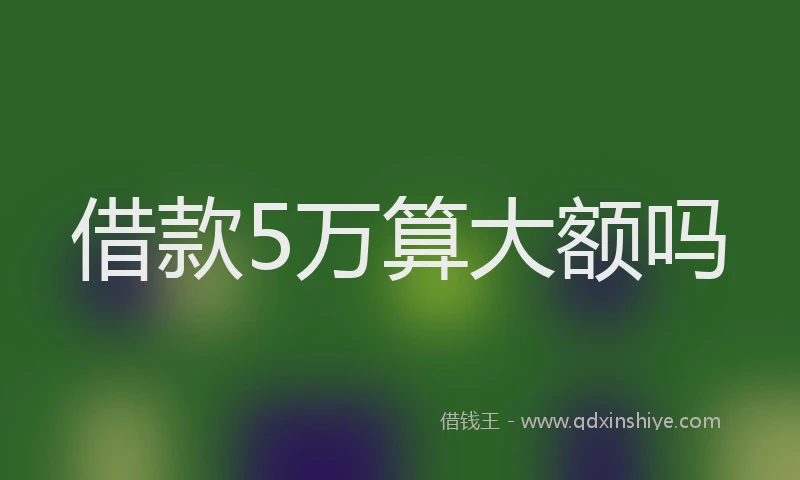 借款5万算大额吗