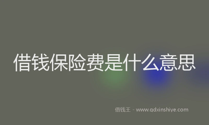借钱保险费是什么意思