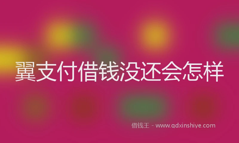翼支付借钱没还会怎样