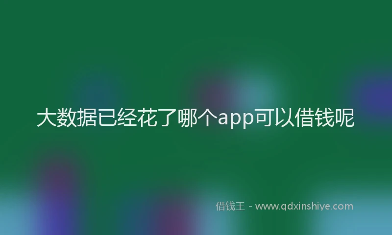 大数据已经花了哪个app可以借钱呢
