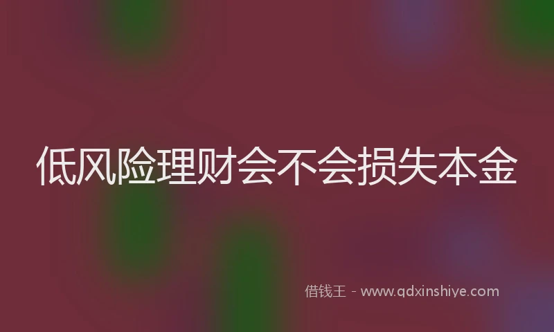 低风险理财会不会损失本金