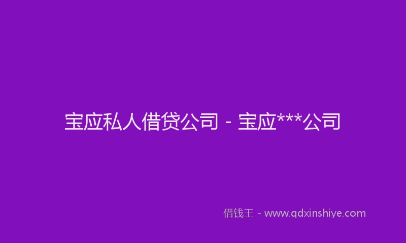 宝应私人借贷公司 - 宝应***公司