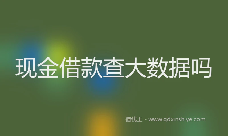 现金借款查大数据吗