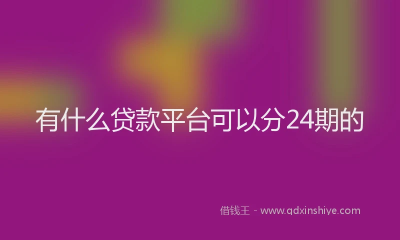 有什么贷款平台可以分24期的