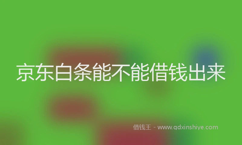 京东白条能不能借钱出来