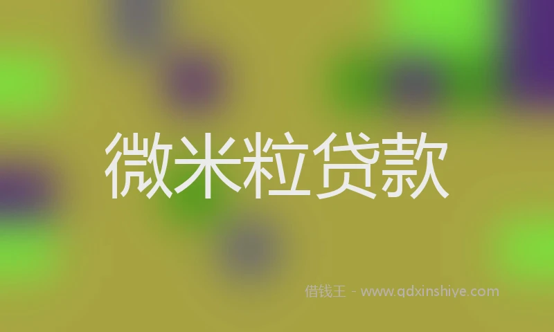 微米粒贷款