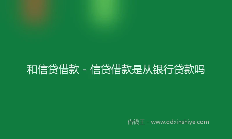 和信贷借款 - 信贷借款是从银行贷款吗