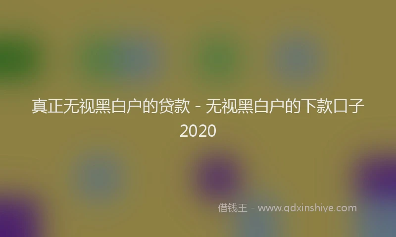 真正无视黑白户的贷款 - 无视黑白户的下款口子2020