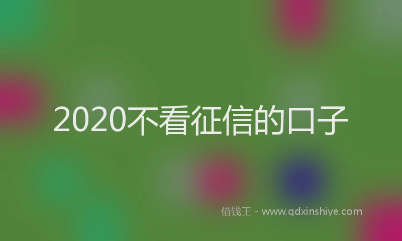 2020不看征信的口子