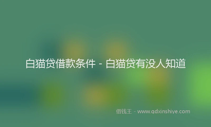 白猫贷借款条件 - 白猫贷有没人知道