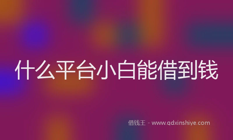 什么平台小白能借到钱