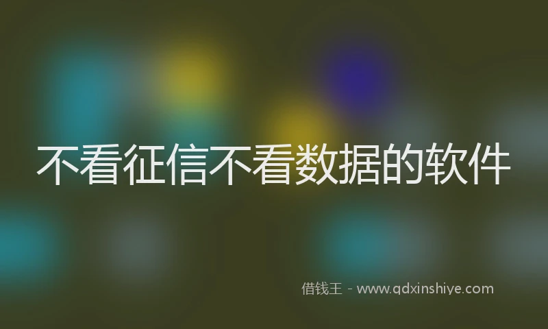 不看征信不看数据的软件