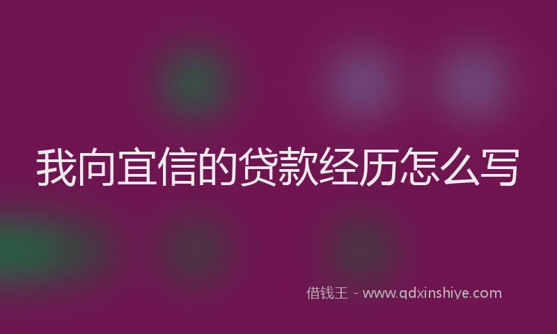 我向宜信的贷款经历怎么写