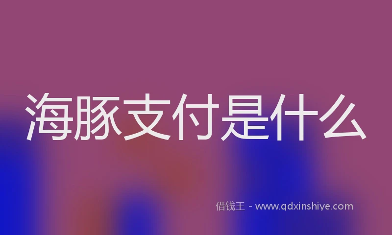 海豚支付是什么