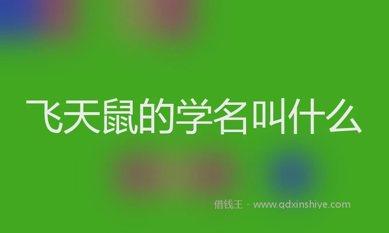 飞天鼠的学名叫什么