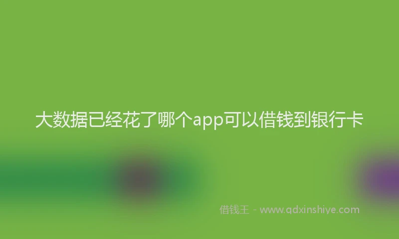 大数据已经花了哪个app可以借钱到银行卡