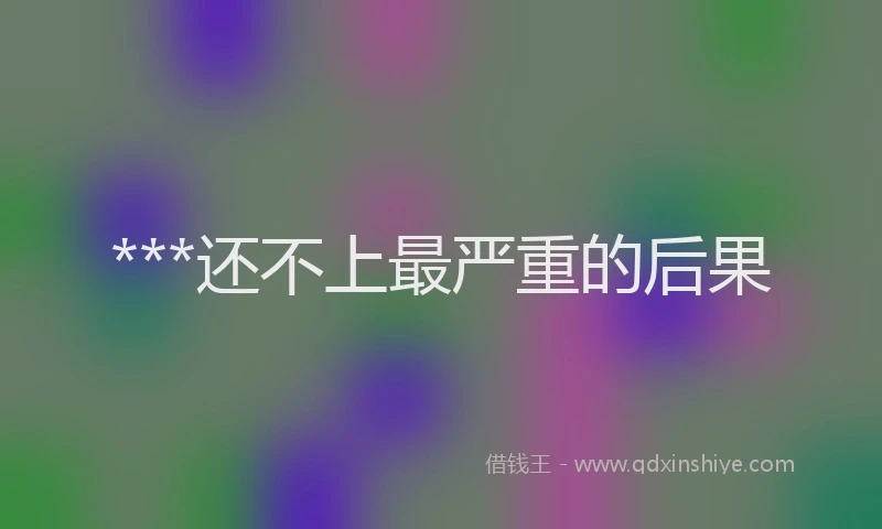 ***还不上最严重的后果