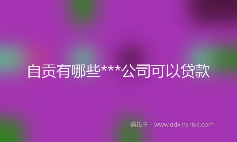 自贡有哪些***公司可以贷款