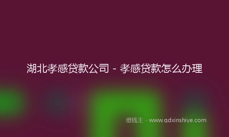 湖北孝感贷款公司 - 孝感贷款怎么办理