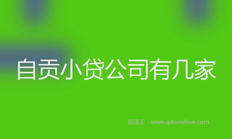 自贡小贷公司有几家