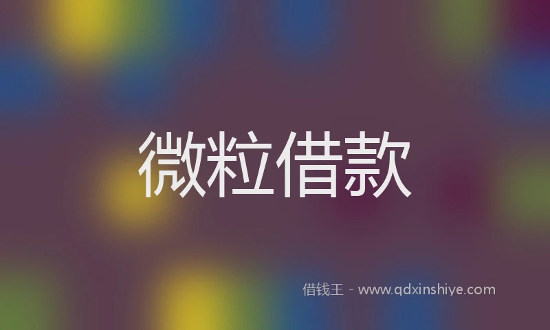 微粒借款