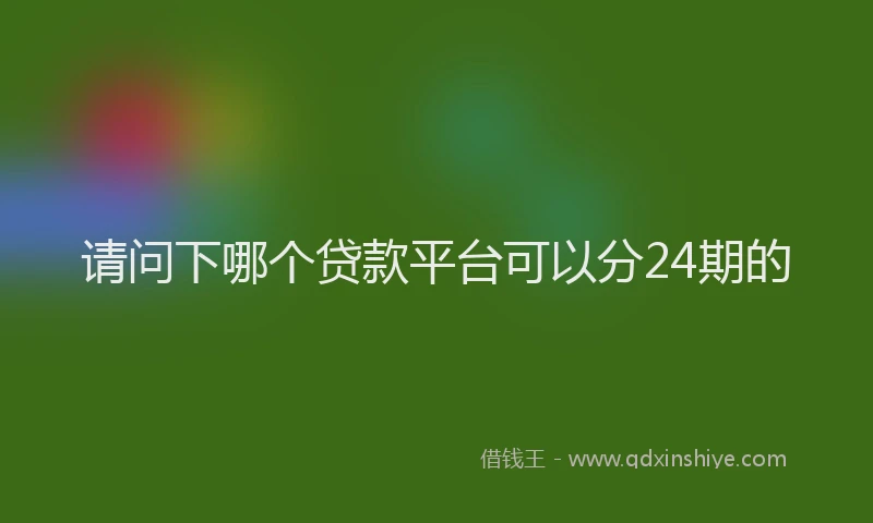 请问下哪个贷款平台可以分24期的