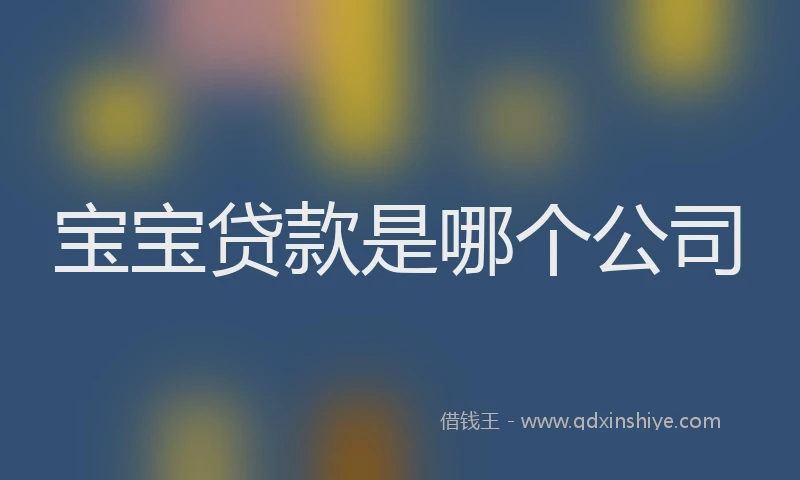 宝宝贷款是哪个公司