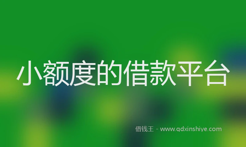 小额度的借款平台