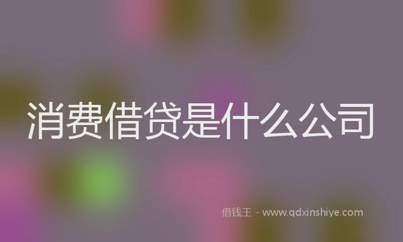 消费借贷是什么公司