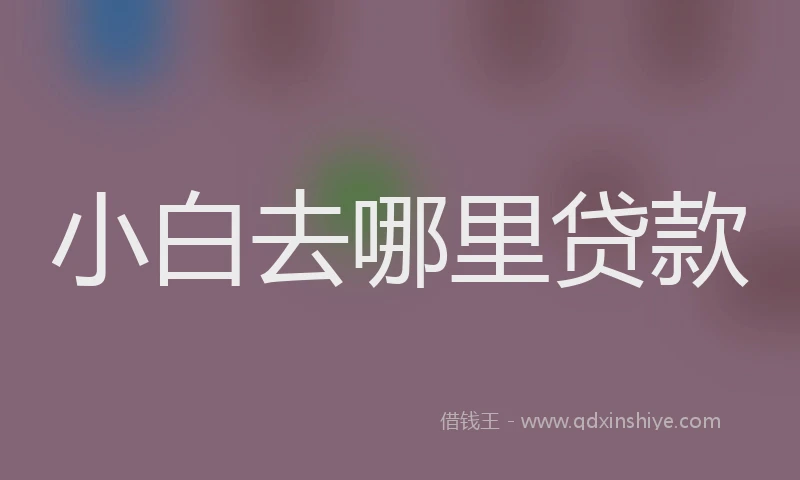 小白去哪里贷款