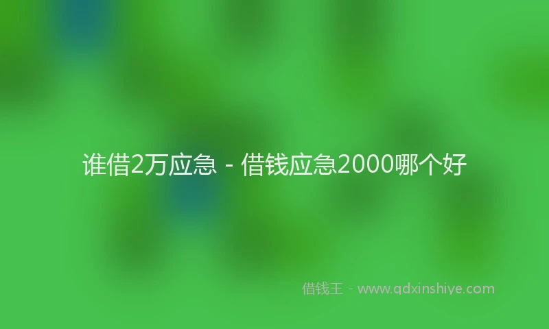 谁借2万应急 - 借钱应急2000哪个好
