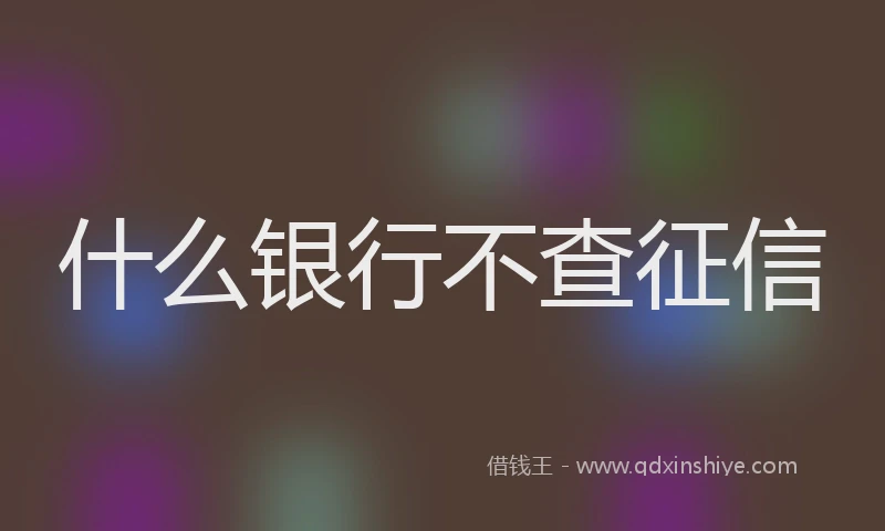什么银行不查征信