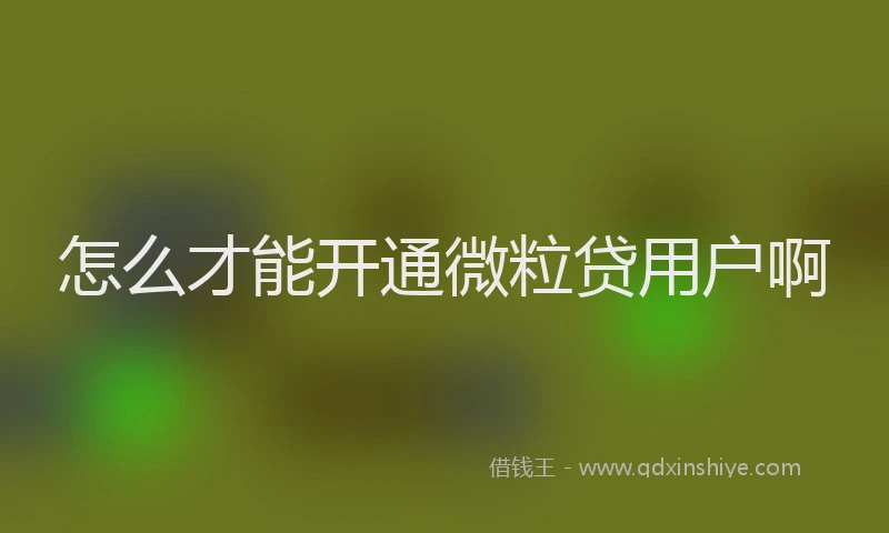 怎么才能开通微粒贷用户啊