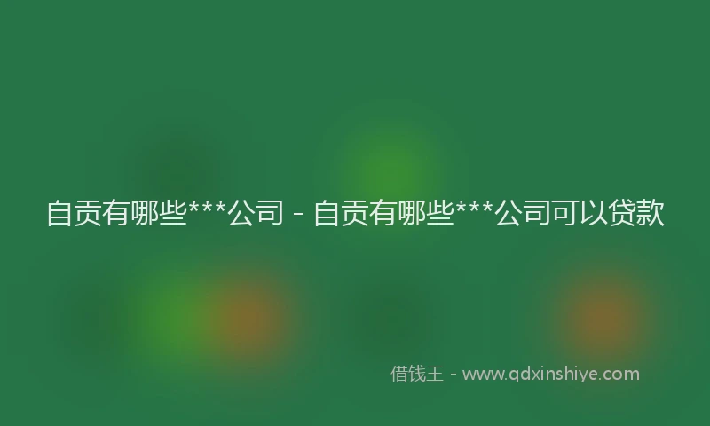 自贡有哪些***公司 - 自贡有哪些***公司可以贷款