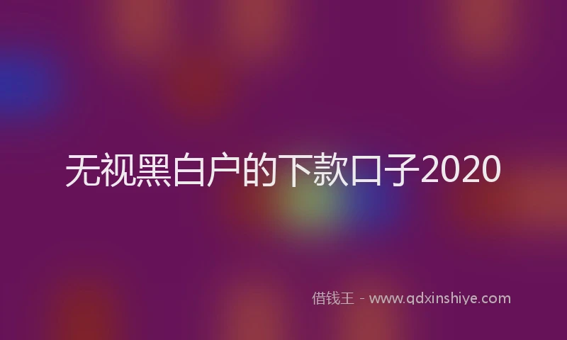 无视黑白户的下款口子2020