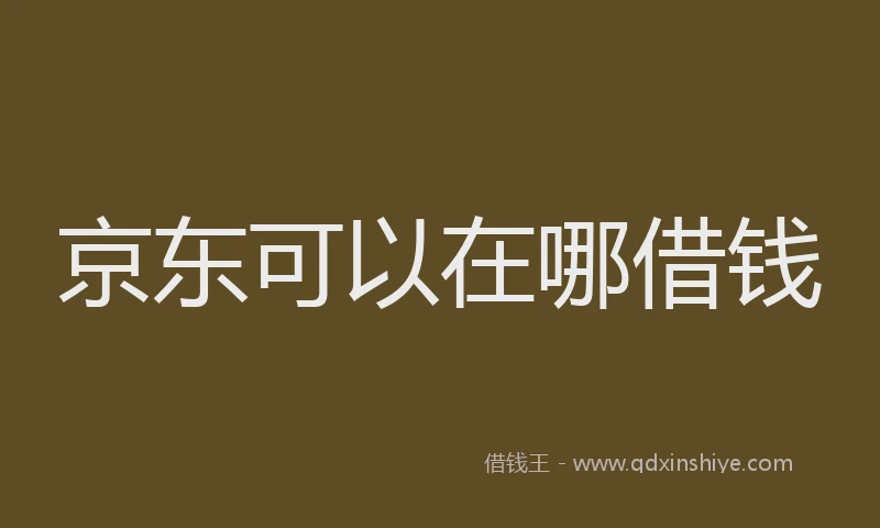 京东可以在哪借钱
