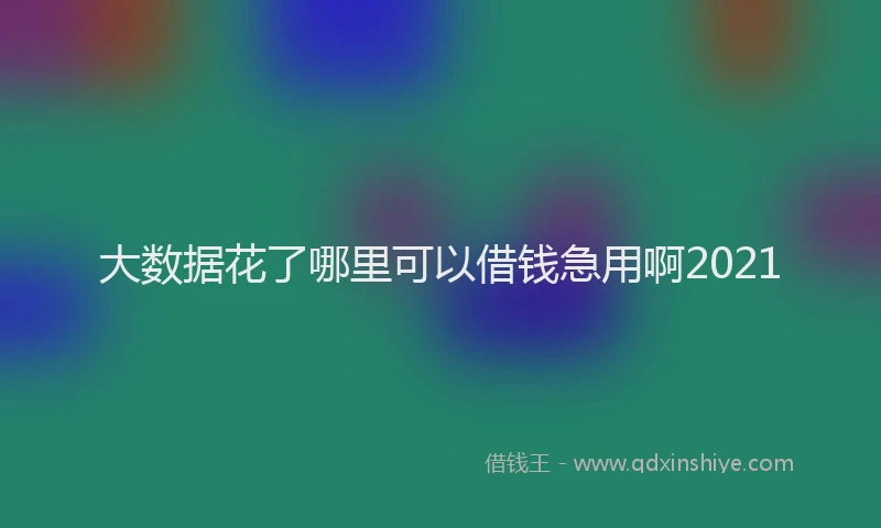 大数据花了哪里可以借钱急用啊2021