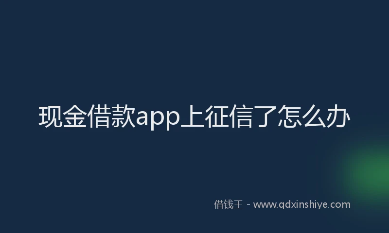 现金借款app上征信了怎么办