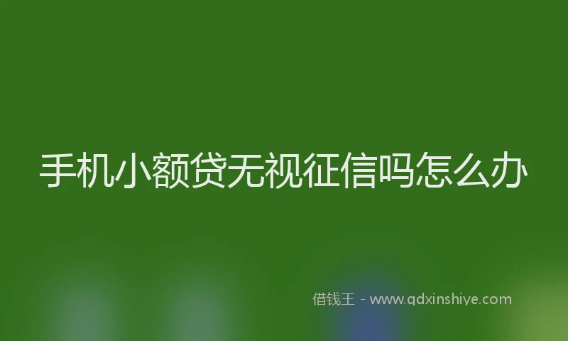 手机小额贷无视征信吗怎么办