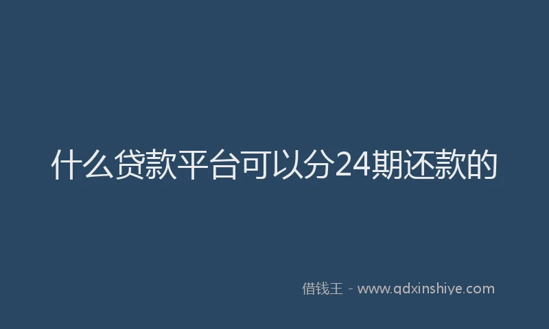 什么贷款平台可以分24期还款的