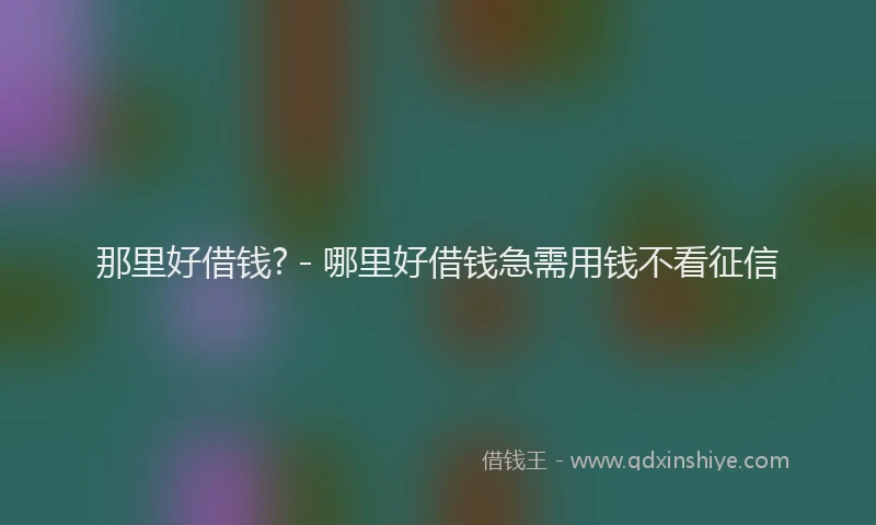那里好借钱? - 哪里好借钱急需用钱不看征信