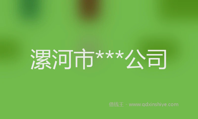 漯河市***公司